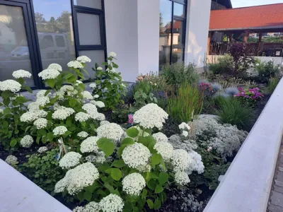 Naturgarten Mödling